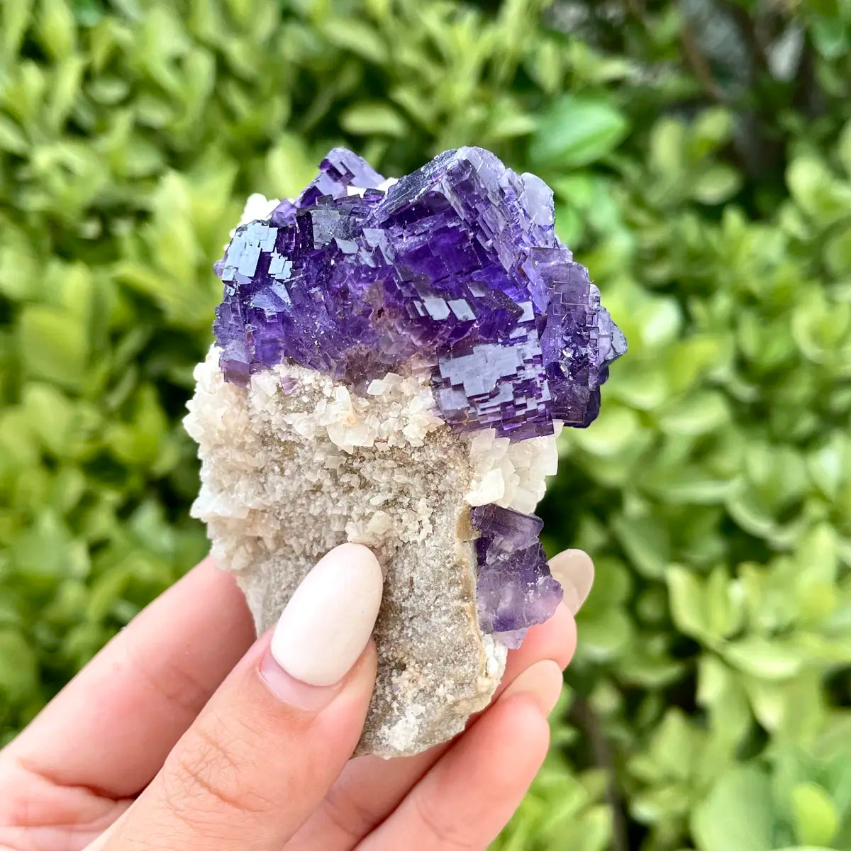 Xinjiang Matrix Fluorite Specimen | Xinjiang, China | 230g | 8*5*5 cm | Fluorite on Matrix | Collector Mineral Sample