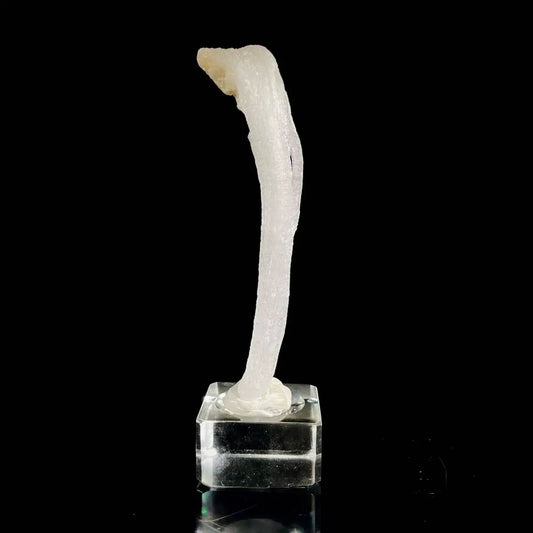 Natural Ram’s Horn Selenite Specimen | Guizhou, China | 30 g | 11*2.5*1 cm | Sulfate Minerals