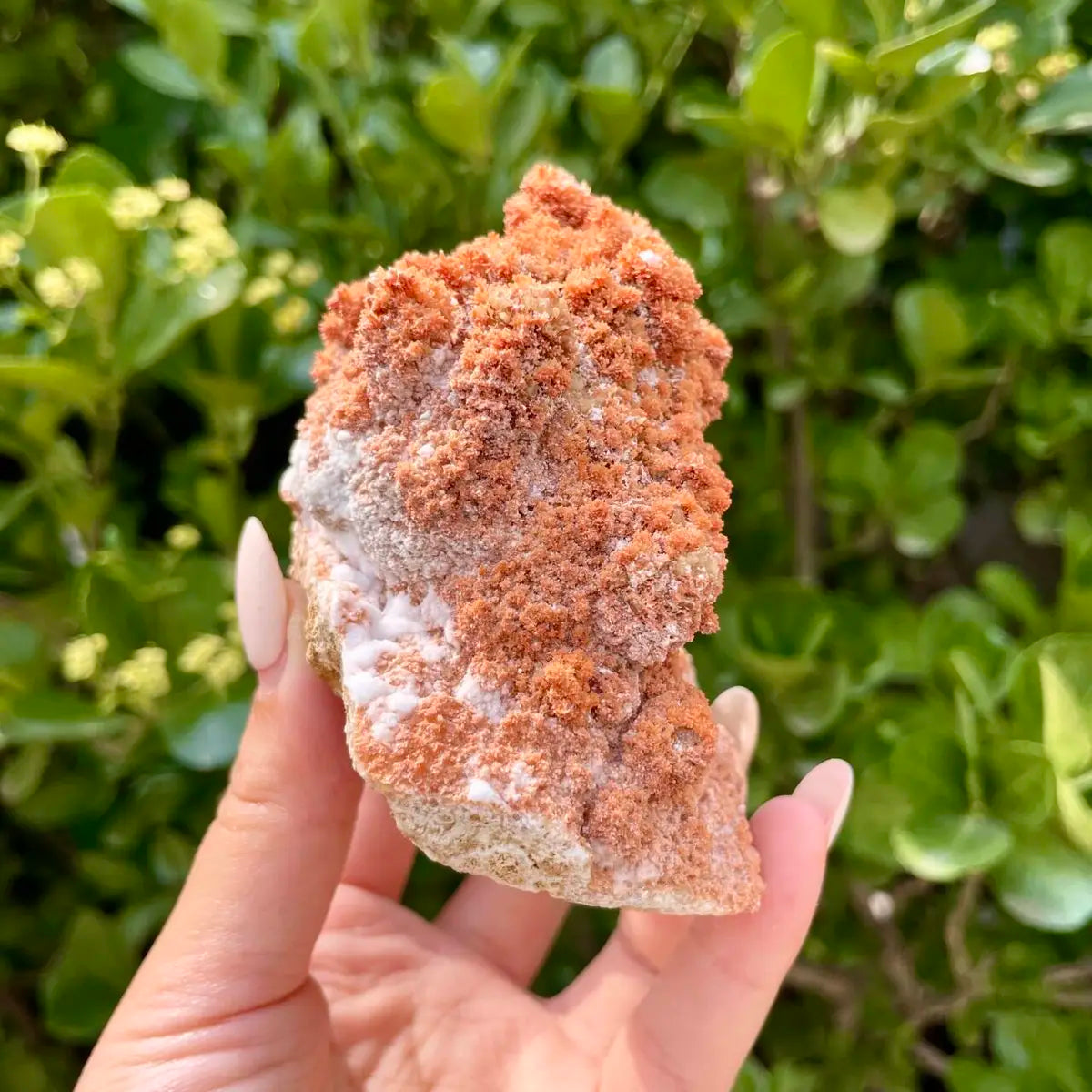 Natural Mimetite Crystal Cluster on Matrix | 360g | 14*7.5*2.5 cm | Rare Lead Mineral Specimen | Mineral Collection