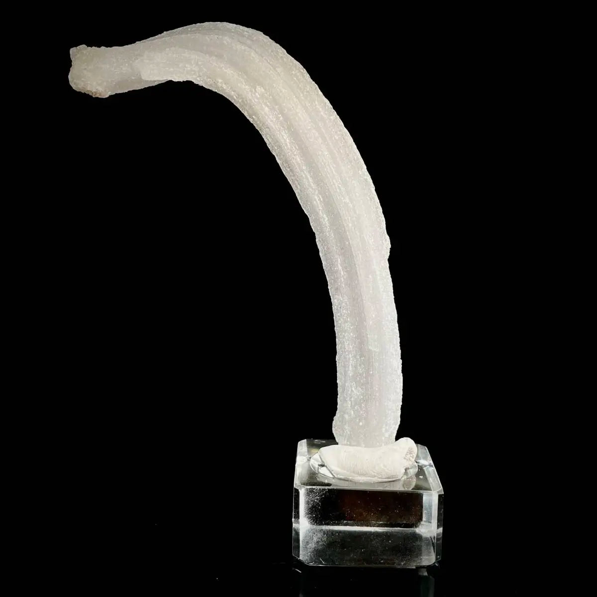 Natural Ram’s Horn Selenite Specimen | Guizhou, China | 40 g | 13.5*2*1 cm | Sulfate Minerals