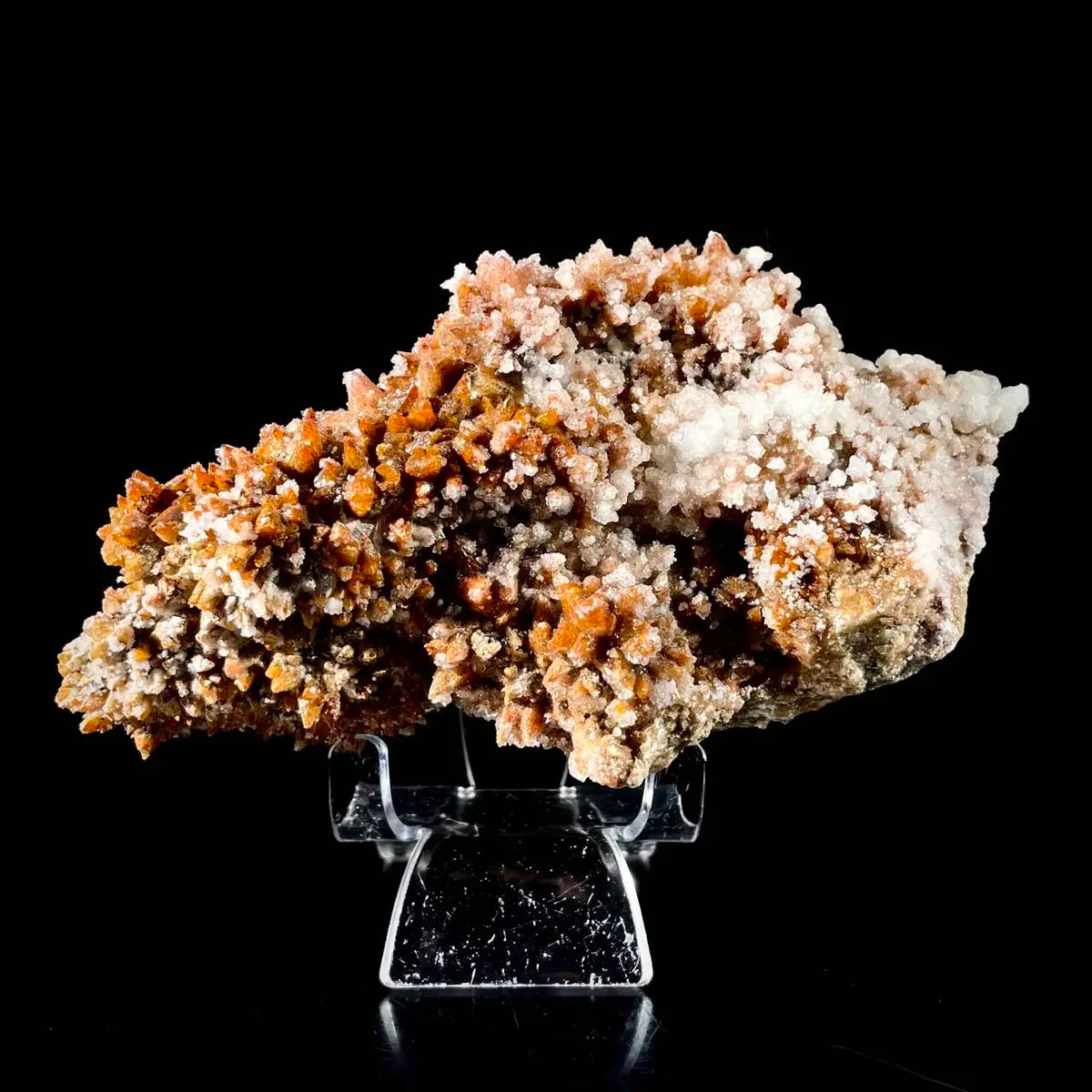 Natural Dogtooth Calcite with Selenite on Matrix | Rare Mineral Association Specimen | Mineral Collection | 650 g | 16*8.5*7.5 cm