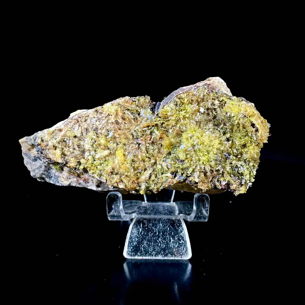 Natural Selenite Flower Crystal from Guizhou, China | Mineral Specimen | 170 g | 11.5*5.5*2.5 cm