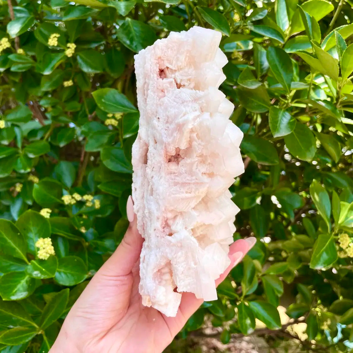 American Light Pink Halite Crystal Cluster | Natural Pink Salt Mineral Specimen from USA | 920 g | 7*4*5.5 cm