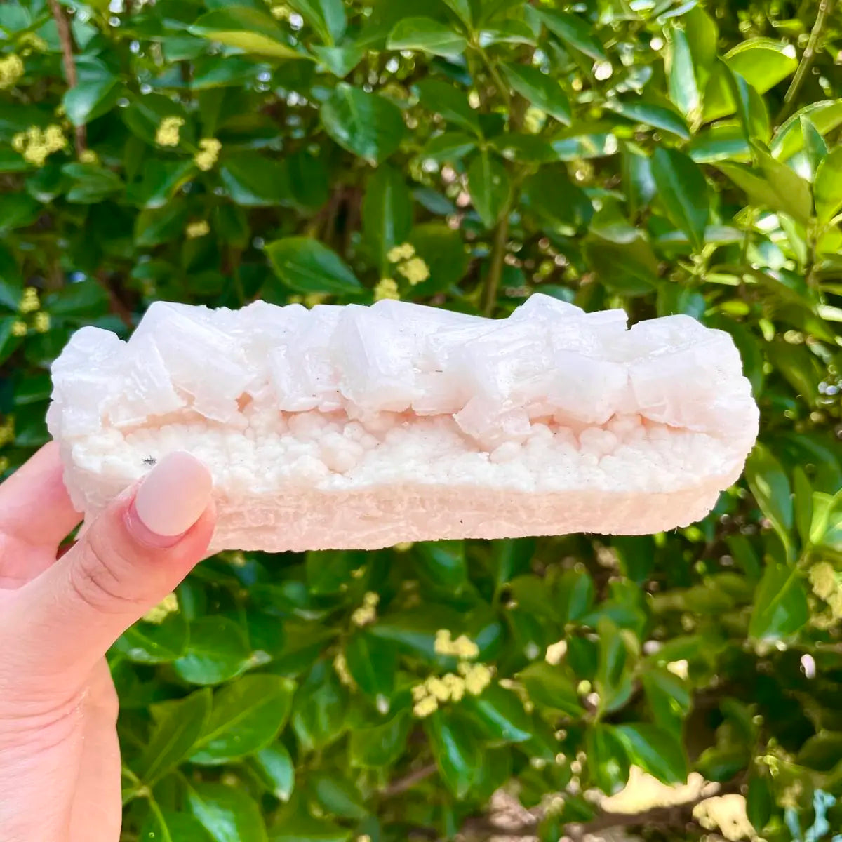 American Light Pink Halite Crystal Cluster | Natural Pink Salt Mineral Specimen from USA | 450 g | 15*6*5 cm