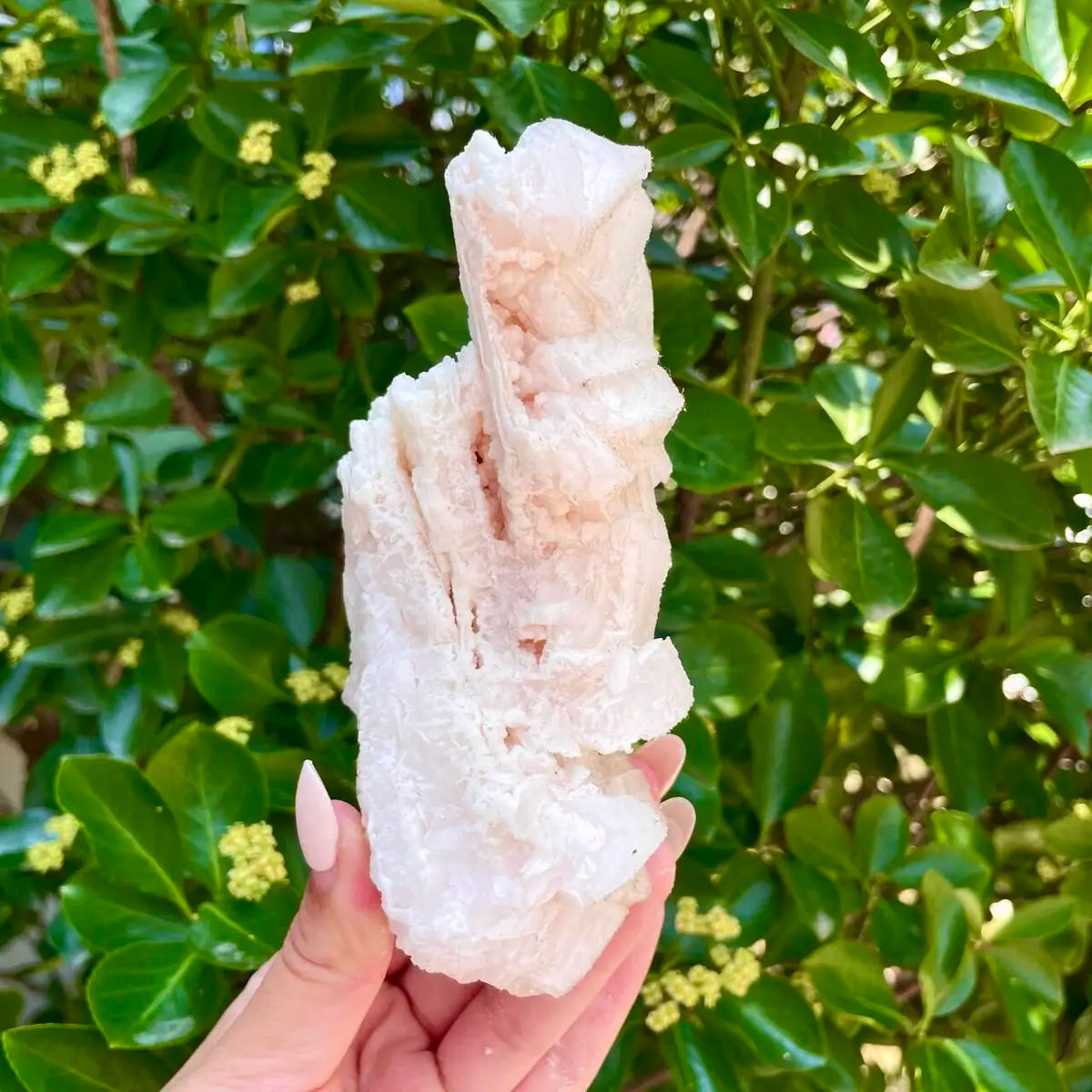 American Light Pink Halite Crystal Cluster | Natural Pink Salt Mineral Specimen from USA | 350 g | 13.5*8.5*5 cm