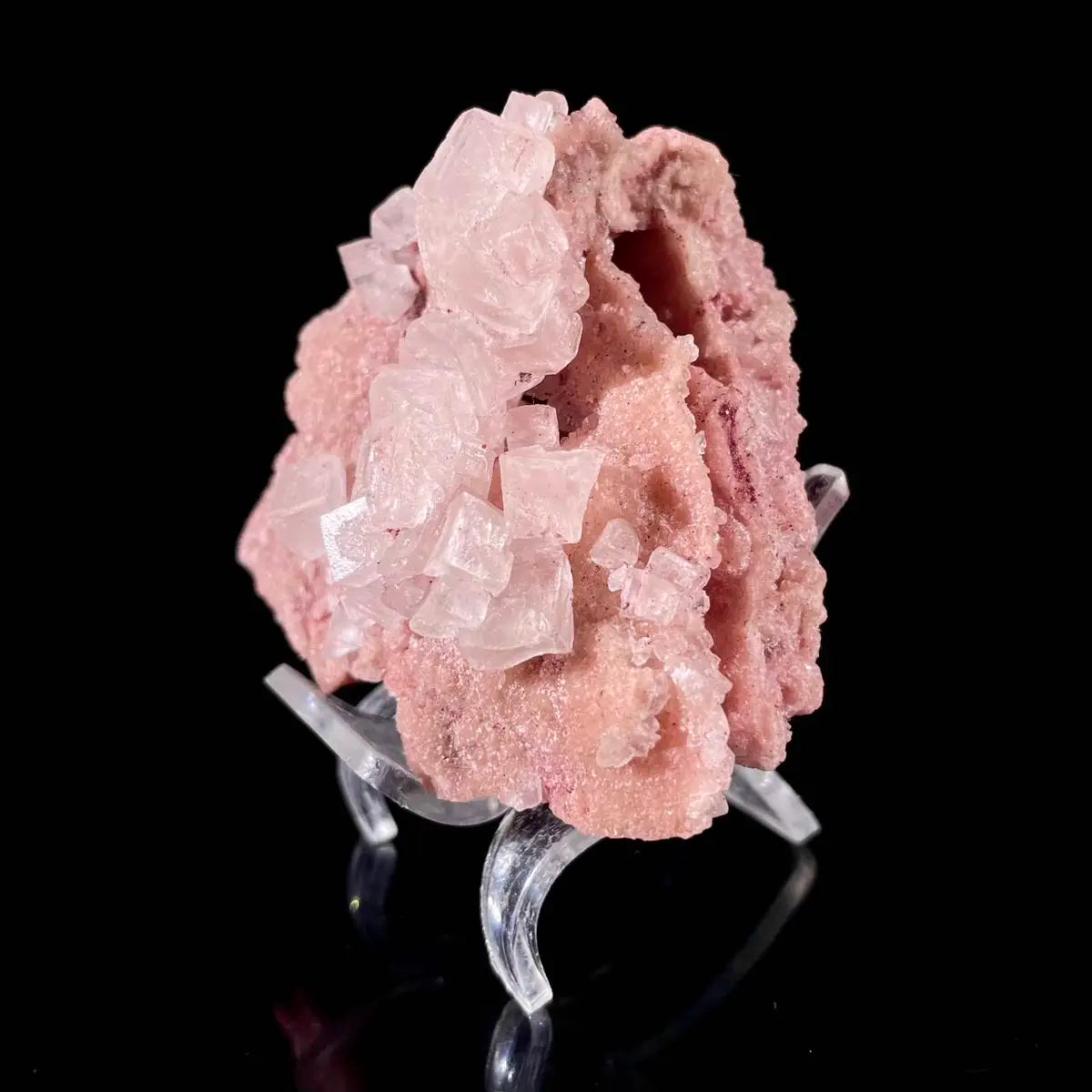 Pink Halite | Natural Bladed Halite Mineral Specimen | Rose-Form Crystal Formation | 110 g | 7*7*3.5 cm