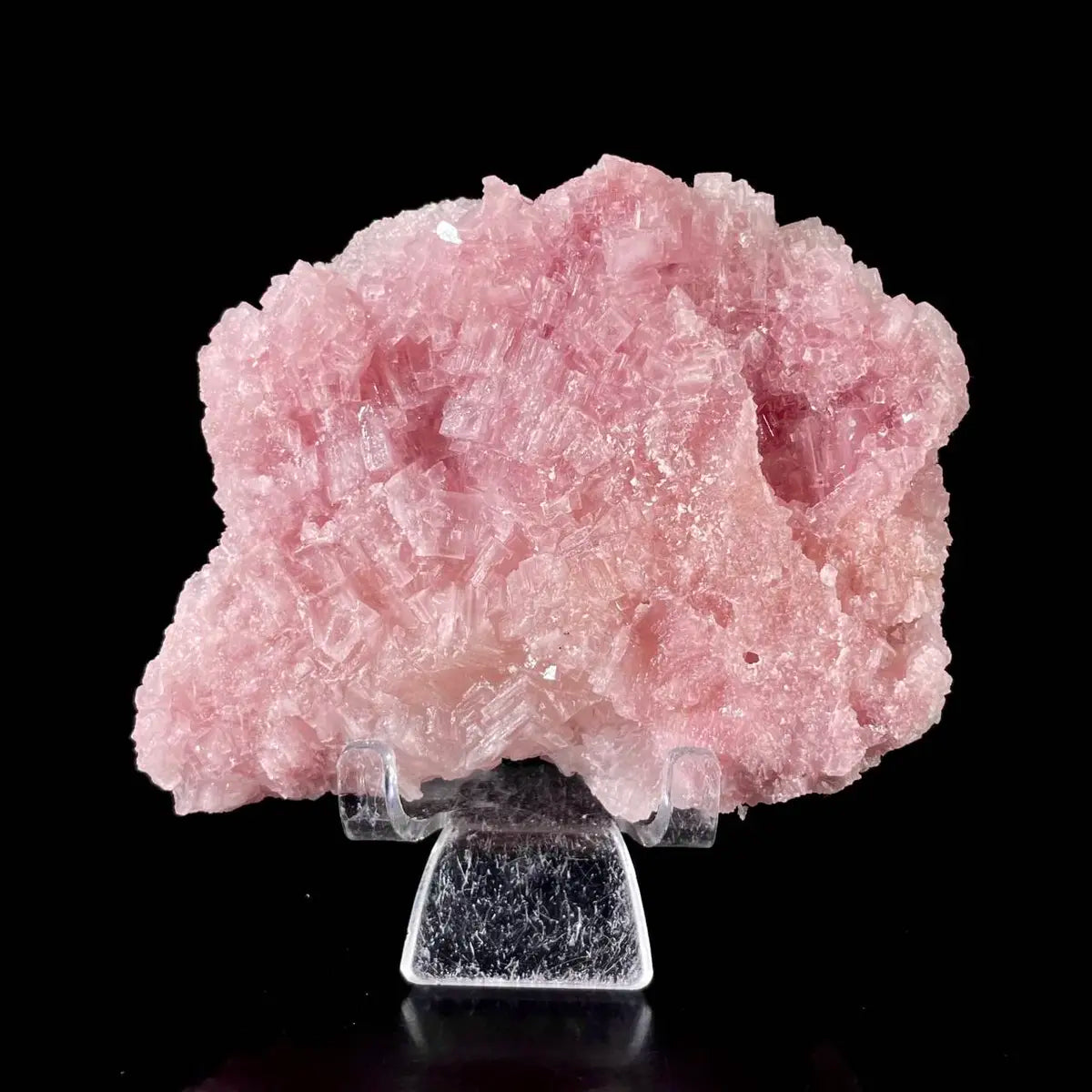 Pink Halite | Natural Bladed Halite Mineral Specimen | Rose-Form Crystal Formation | 240 g | 10*8*4.5 cm