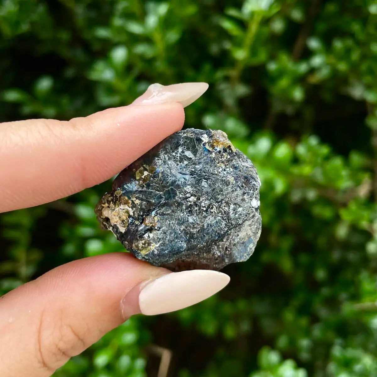 Natural Specularite Flower on Matrix | Rare Metallic Iron Oxide Mineral Specimen from Guangdong, China | Mineral Collection Grade Display Piece | 23 g | 3*2.7*1.5 cm