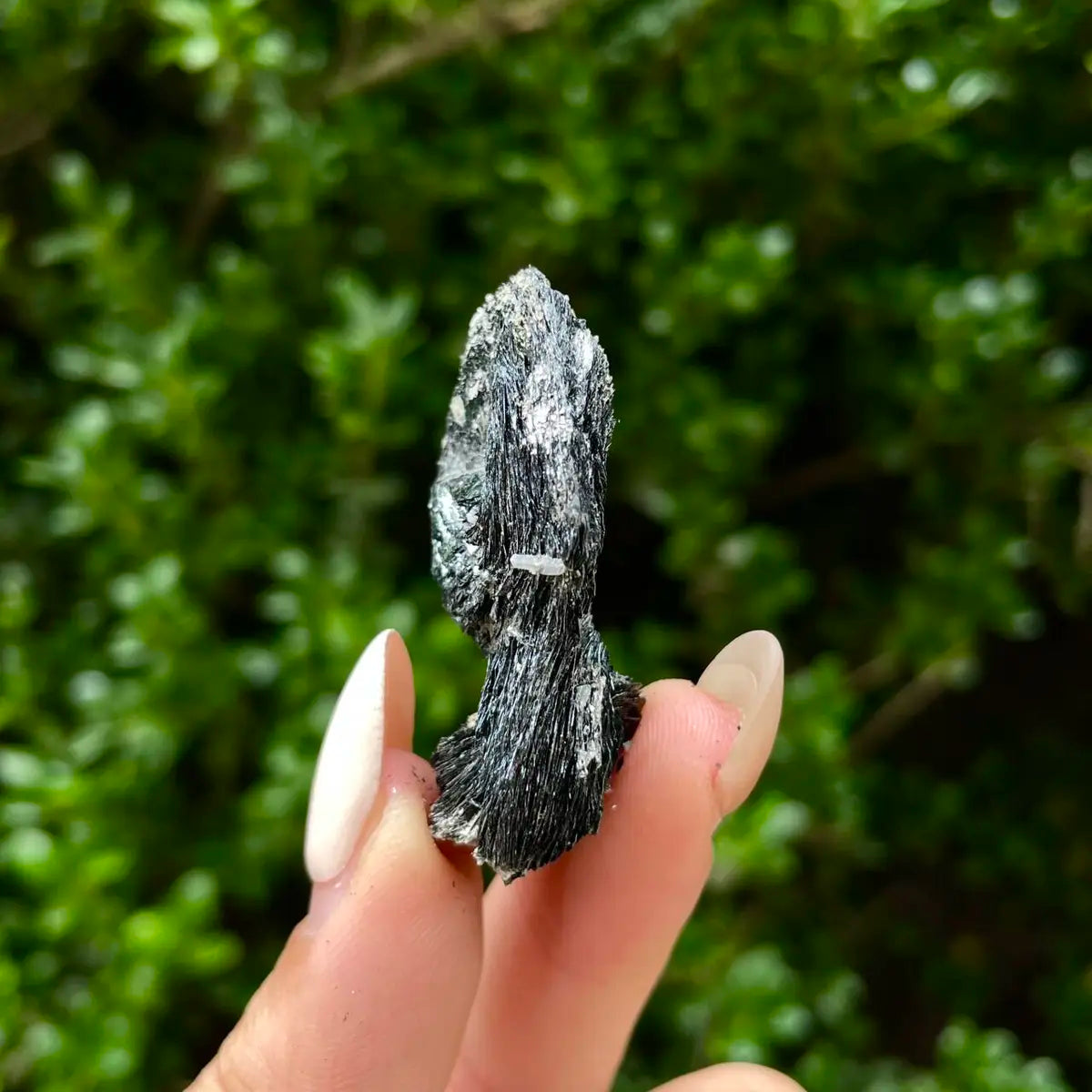 Natural Specularite Flower on Matrix | Rare Metallic Iron Oxide Mineral Specimen from Guangdong, China | Mineral Collection Grade Display Piece | 15 g | 4.3*2.5*1.5 cm