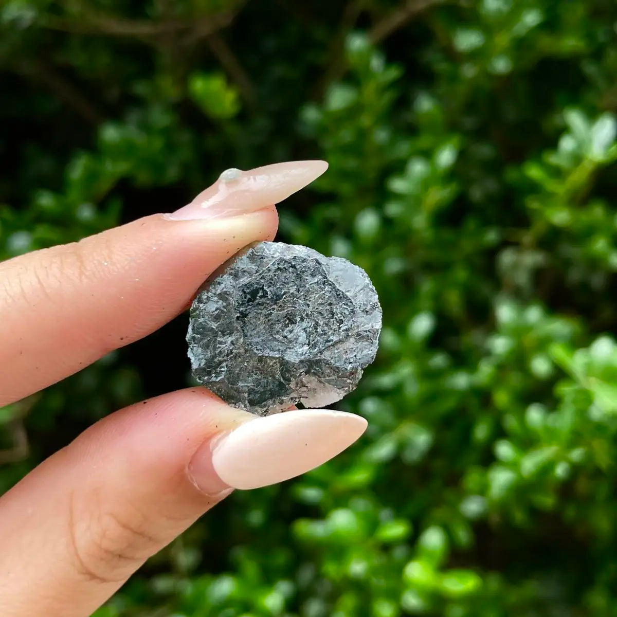 Natural Specularite Flower on Matrix | Rare Metallic Iron Oxide Mineral Specimen from Guangdong, China | Mineral Collection Grade Display Piece | 3.8 g | 2*2*0.5 cm