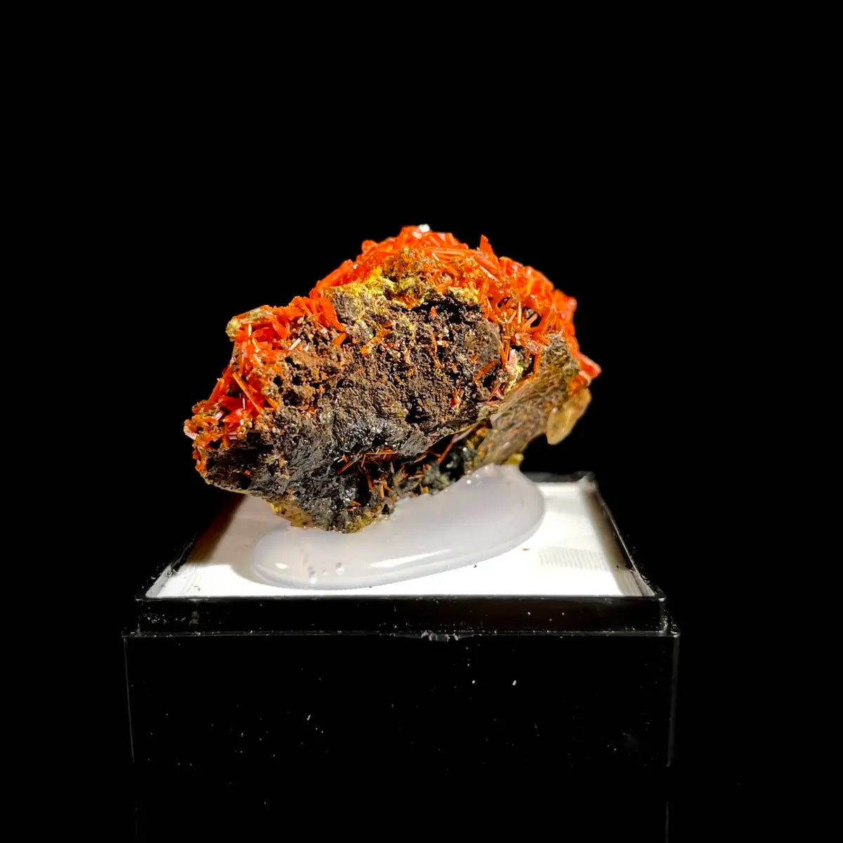 Natural Australian Crocoite Crystal Specimen | Rare Lead Chromate Mineral on Matrix | Collector’s Grade | 4.5*2.5*2 cm