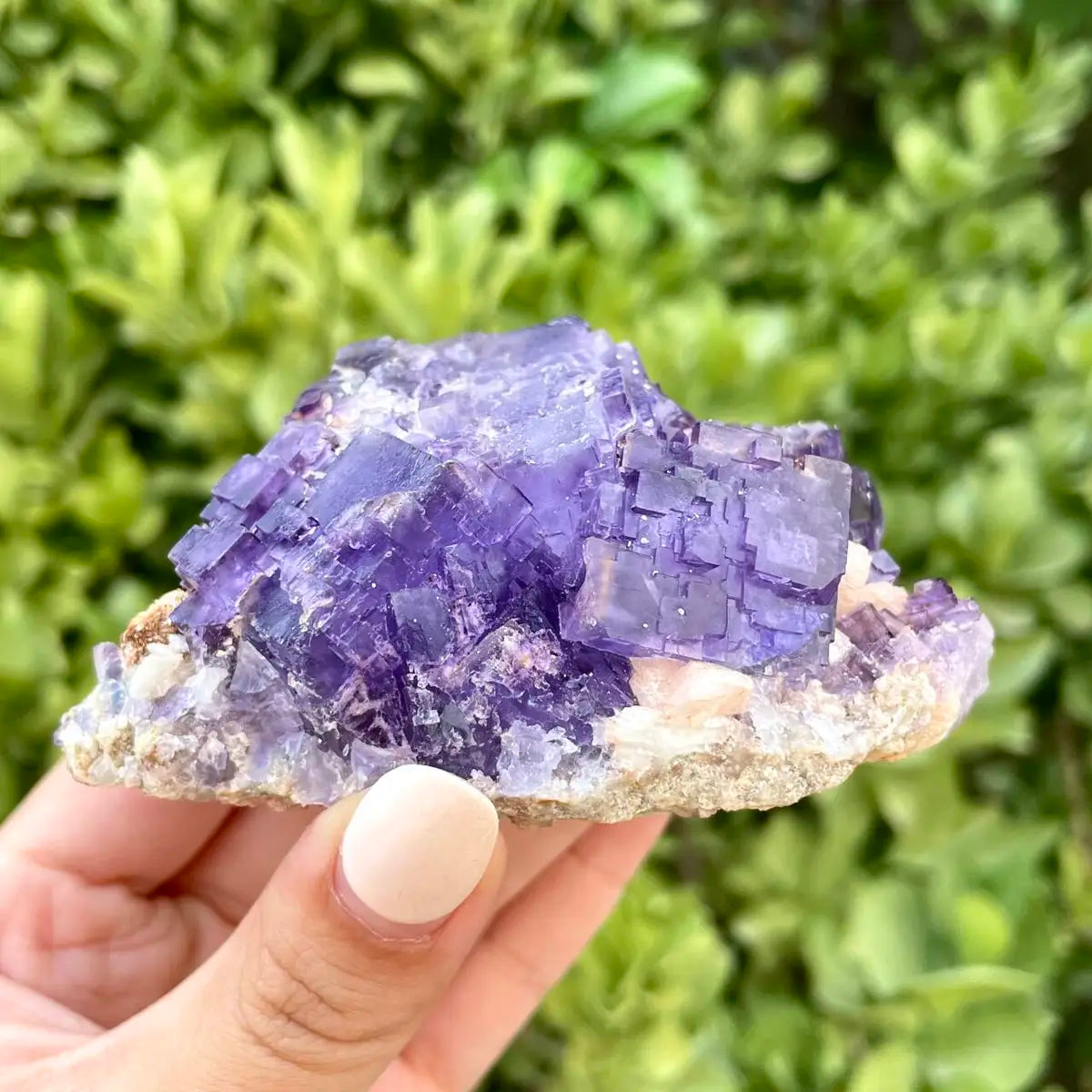 Xinjiang Matrix Fluorite Specimen | Xinjiang, China | 250g | 9*6*4cm | Fluorite on Matrix | Collector Mineral Sample