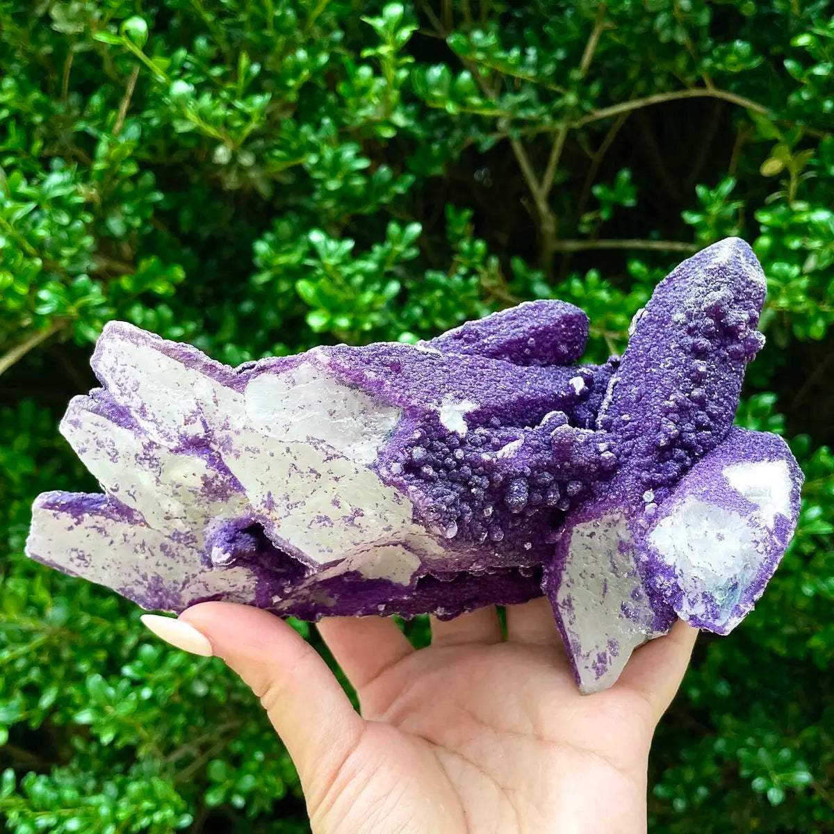 Natural Calcite Crystal Cluster with Purple Mineral Coating |710g | 15.5× 12× 7.5cm | Carbonate Minerals | Inner Mongolia, China
