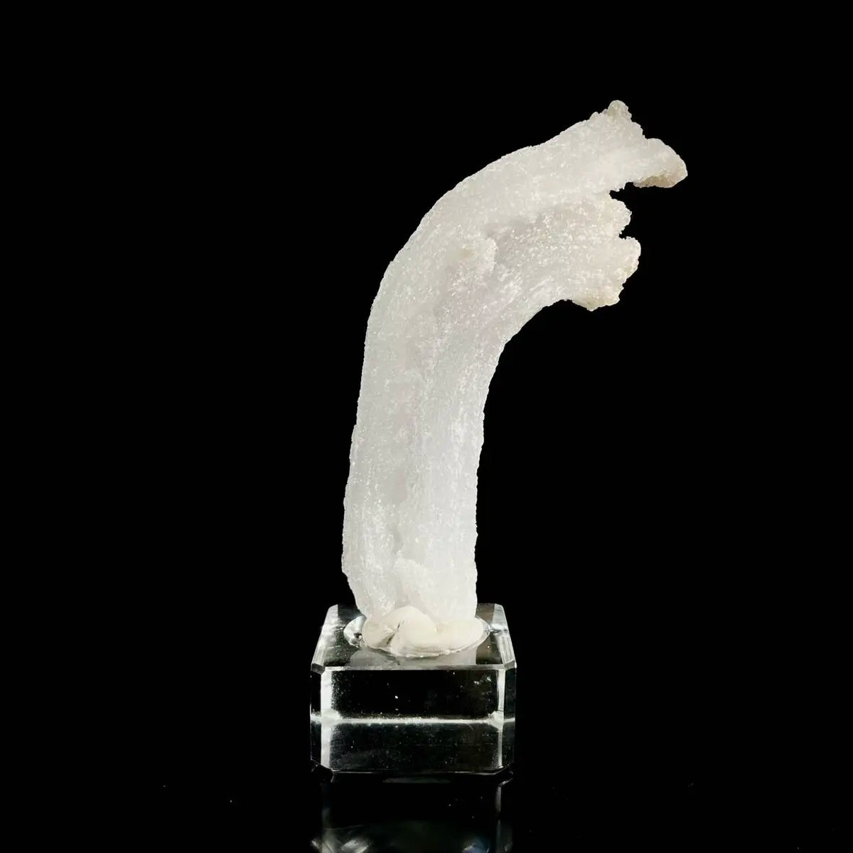 Natural Ram’s Horn Selenite Specimen | Guizhou, China | 80 g | 12*3.5*1.5 cm | Sulfate Minerals