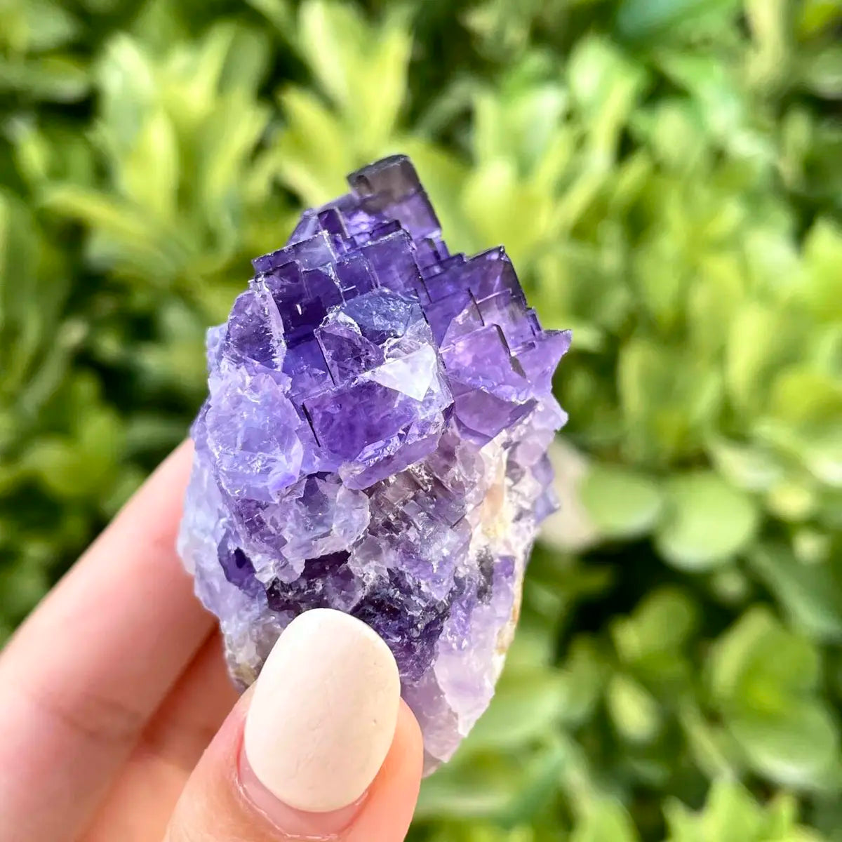 Xinjiang Matrix Fluorite Specimen | Xinjiang, China |130g | 3*5*6 cm | Fluorite on Matrix | Collector Mineral Sample