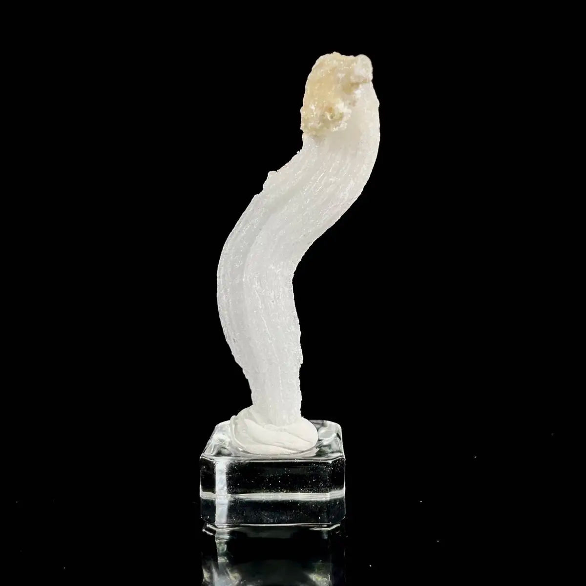 C7♥Guizhou Ram's Horn Gypsum