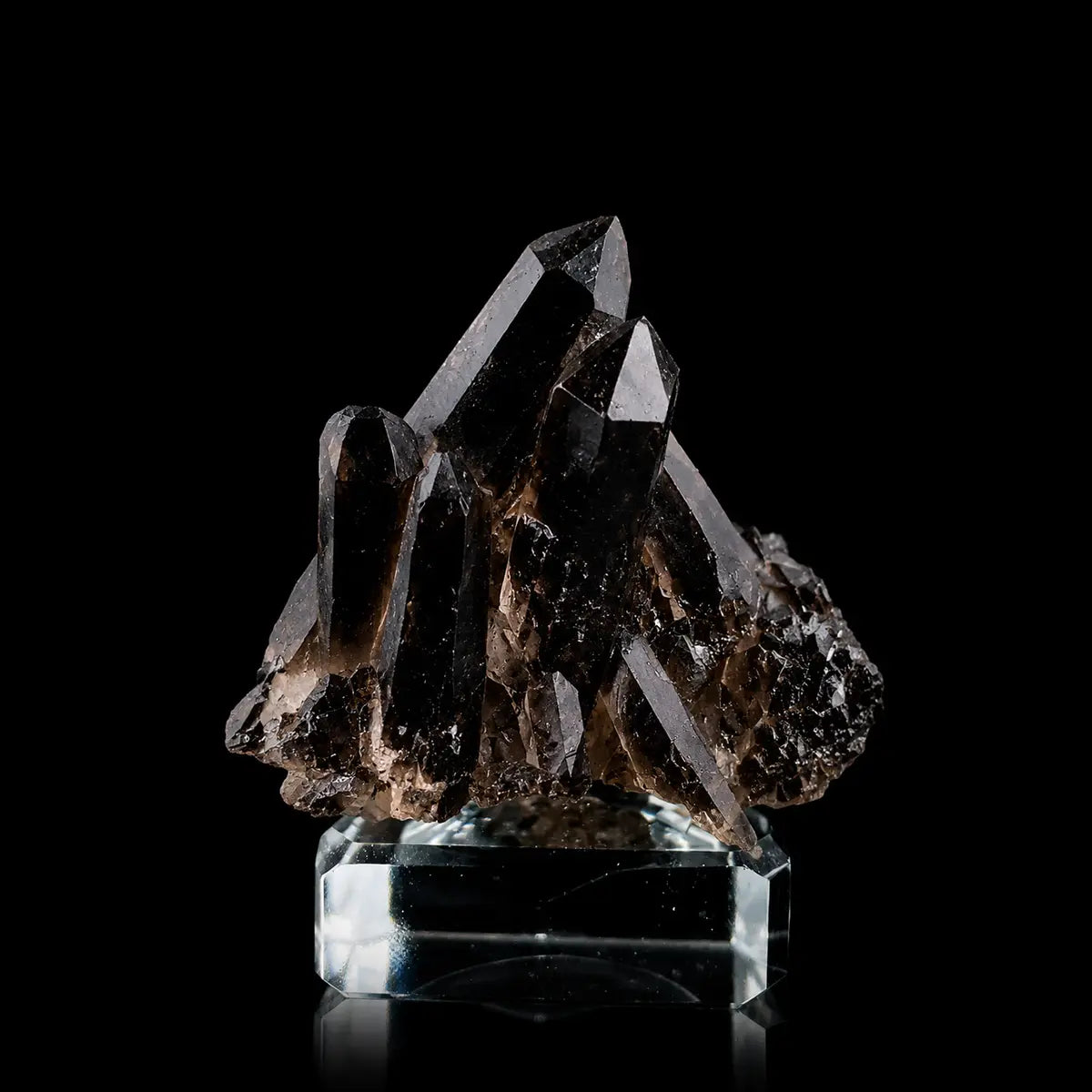 B7♥Morion Quartz /Black Quartz