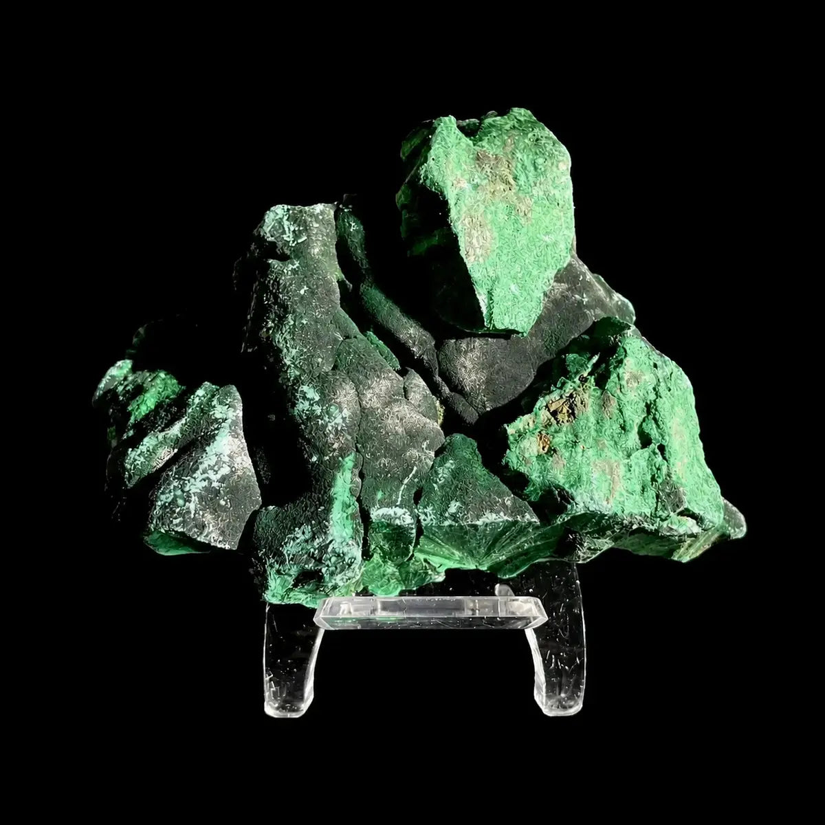 C1♥Congo Velvet Malachite