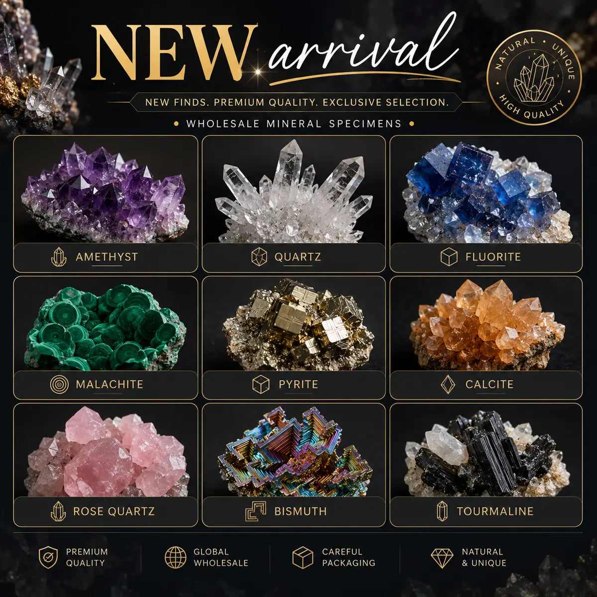 New Arrivals Today