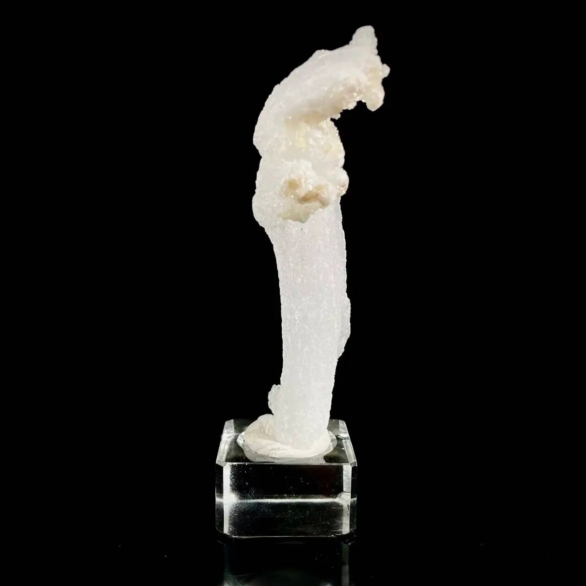 Natural Ram’s Horn Selenite Specimen | Guizhou, China | 80 g | 12*3.5*1.5 cm | Sulfate Minerals