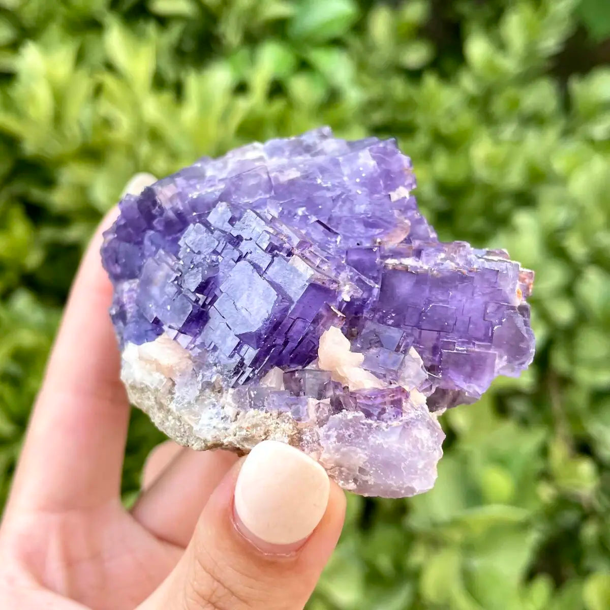 Xinjiang Matrix Fluorite Specimen | Xinjiang, China | 250g | 9*6*4cm | Fluorite on Matrix | Collector Mineral Sample