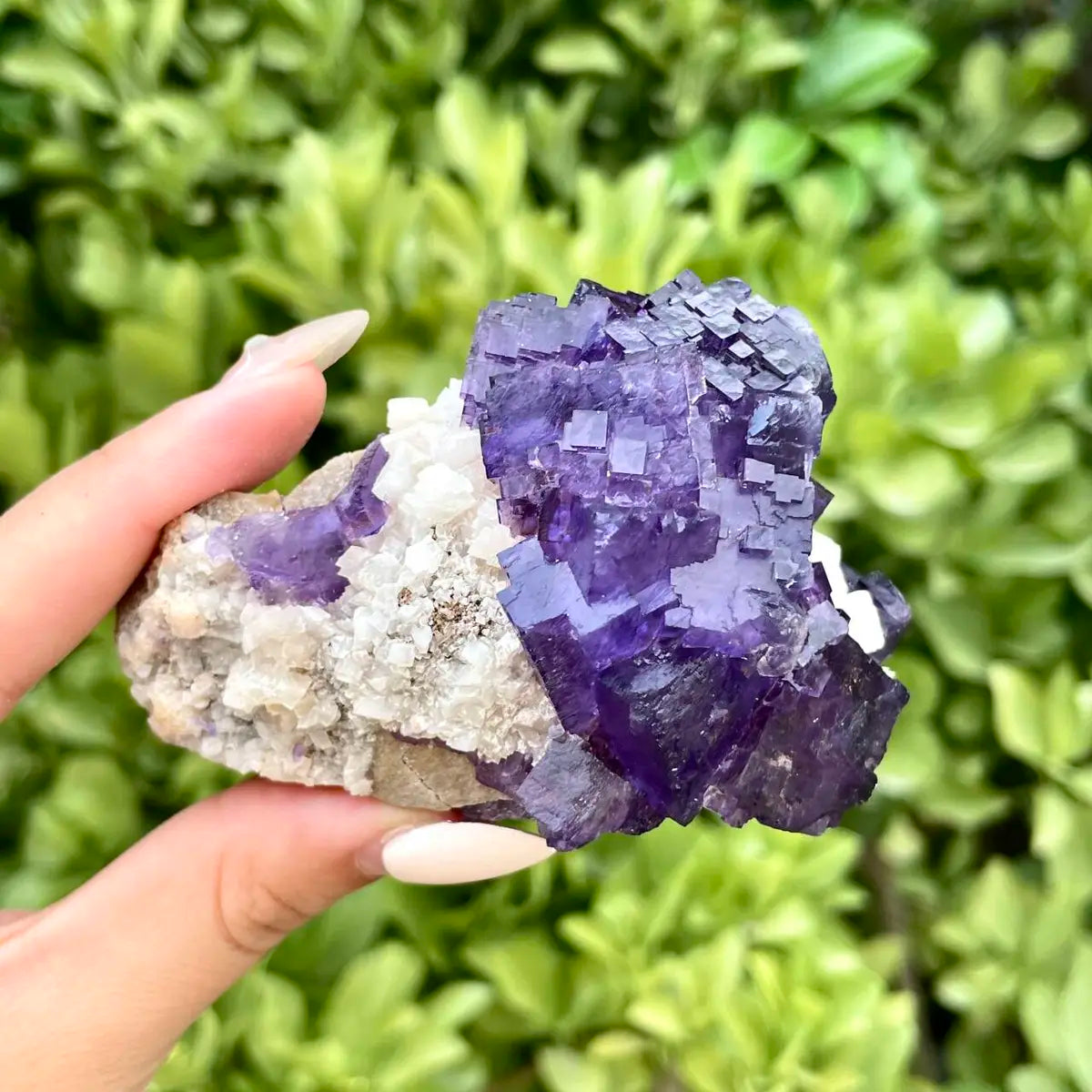 Xinjiang Matrix Fluorite Specimen | Xinjiang, China | 230g | 8*5*5 cm | Fluorite on Matrix | Collector Mineral Sample