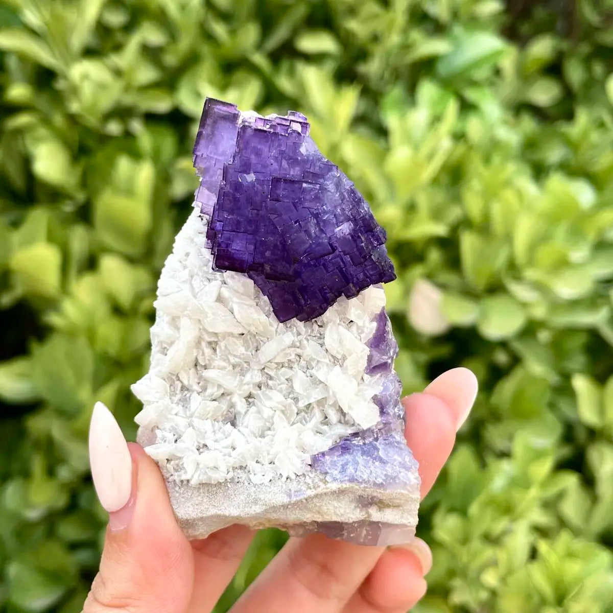 Xinjiang Matrix Fluorite Specimen | Xinjiang, China | 60g | 7*5.5*3 cm | Fluorite on Matrix | Collector Mineral Sample