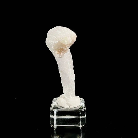 Natural Ram’s Horn Selenite Specimen | Guizhou, China | 40 g | 8*3.5*2 cm | Sulfate Minerals