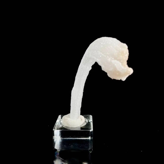 Natural Ram’s Horn Selenite Specimen | Guizhou, China | 40 g | 10*2*1 cm | Sulfate Minerals