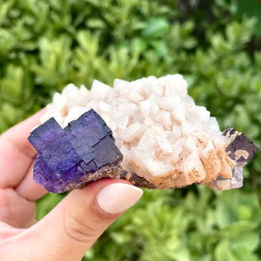 A421-Xinjiang Matrix Fluorite Specimen | Xinjiang, China | 180g |  8.5*7.5*3cm | Fluorite on Matrix | Collector Mineral Sample