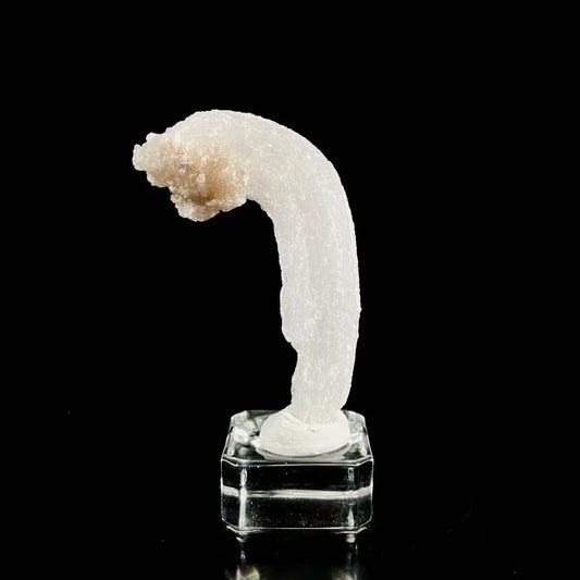 Natural Ram’s Horn Selenite Specimen | Guizhou, China | 40 g | 8*3.5*2 cm | Sulfate Minerals