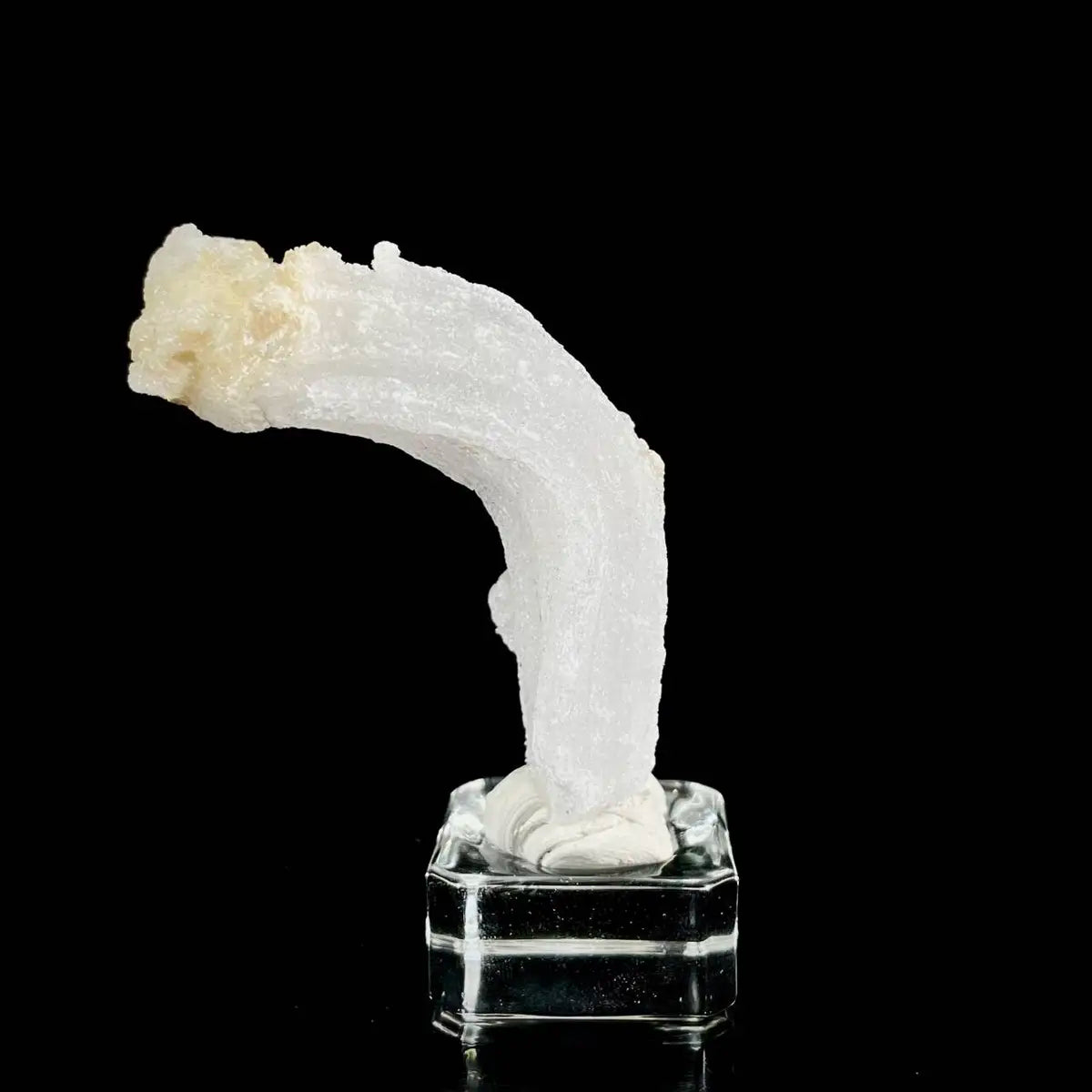 Natural Ram’s Horn Selenite Specimen | Guizhou, China | 60 g | 8.5*3*2 cm | Sulfate Minerals