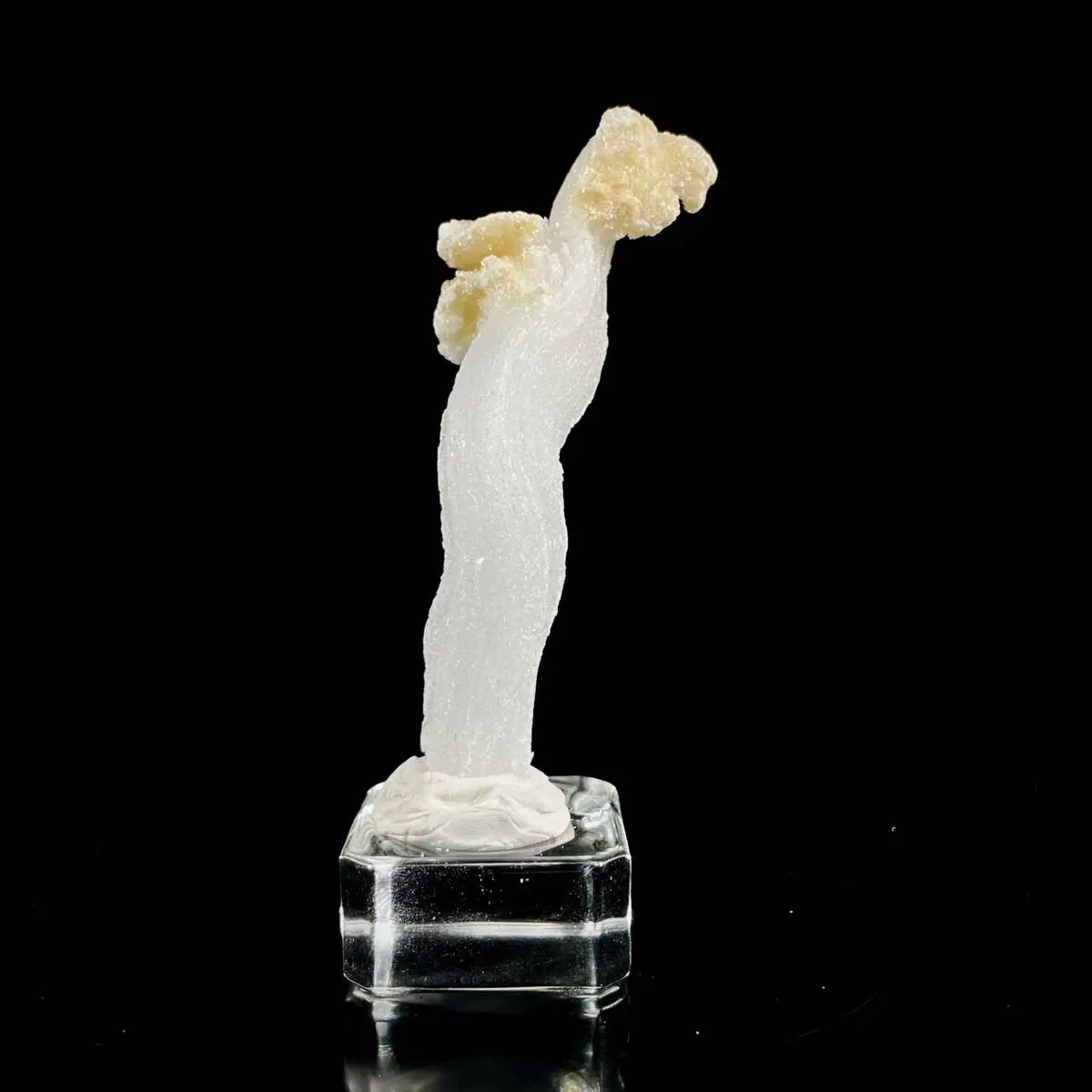 Natural Ram’s Horn Selenite Specimen | Guizhou, China | 40 g | 10*2*1.5 cm | Sulfate Minerals