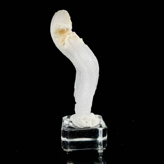 Natural Ram’s Horn Selenite Specimen | Guizhou, China | 40 g | 10*2*1.5 cm | Sulfate Minerals