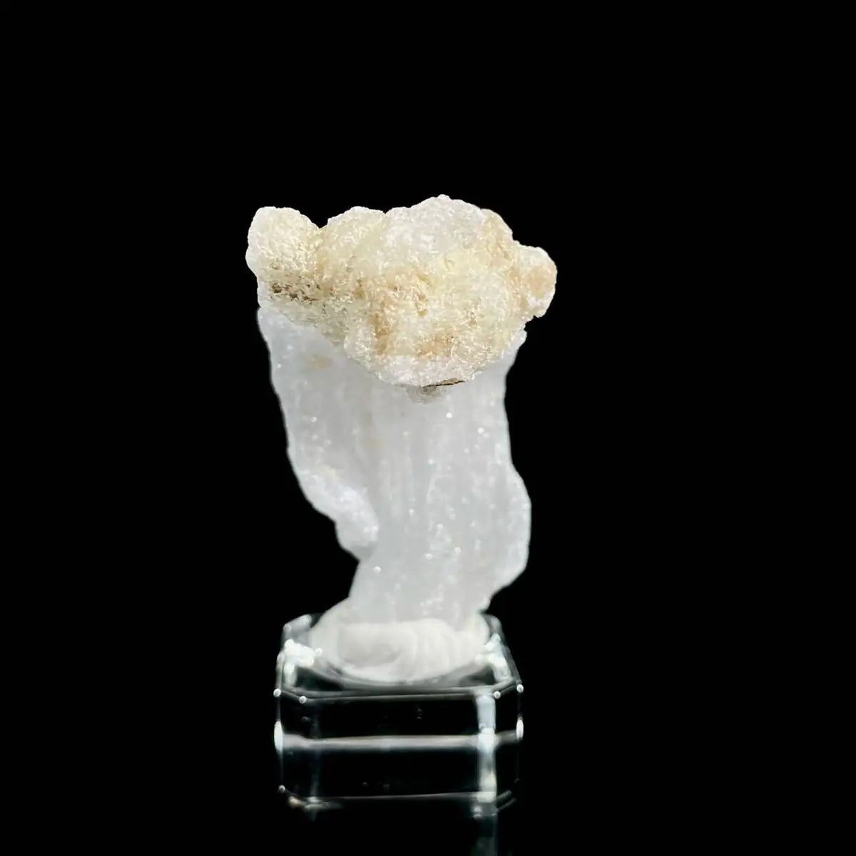 Natural Ram’s Horn Selenite Specimen | Guizhou, China | 60 g | 8.5*3*2 cm | Sulfate Minerals