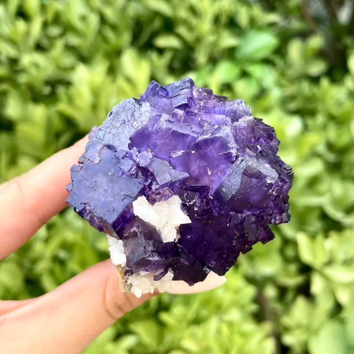 Xinjiang Matrix Fluorite Specimen | Xinjiang, China | 230g | 8*5*5 cm | Fluorite on Matrix | Collector Mineral Sample