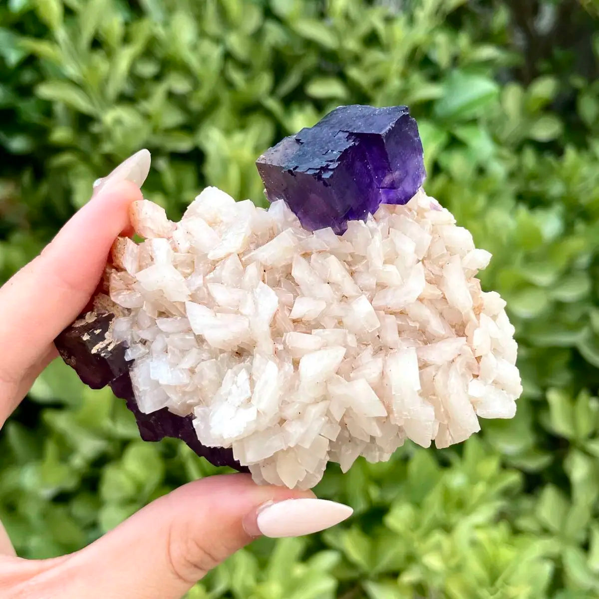Xinjiang Matrix Fluorite Specimen | Xinjiang, China | 180g |  8.5*7.5*3cm | Fluorite on Matrix | Collector Mineral Sample