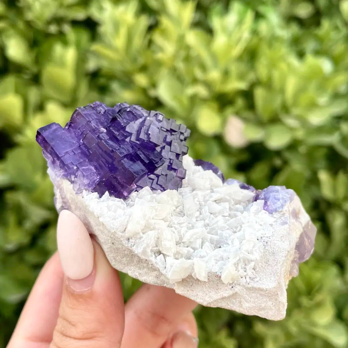 Xinjiang Matrix Fluorite Specimen | Xinjiang, China | 60g | 7*5.5*3 cm | Fluorite on Matrix | Collector Mineral Sample