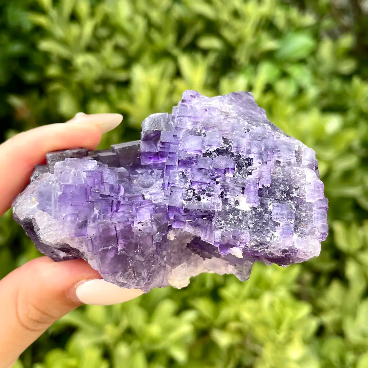 Xinjiang Matrix Fluorite Specimen | Xinjiang, China | 210g | 7.5*6.5*4cm | Fluorite on Matrix | Collector Mineral Sample