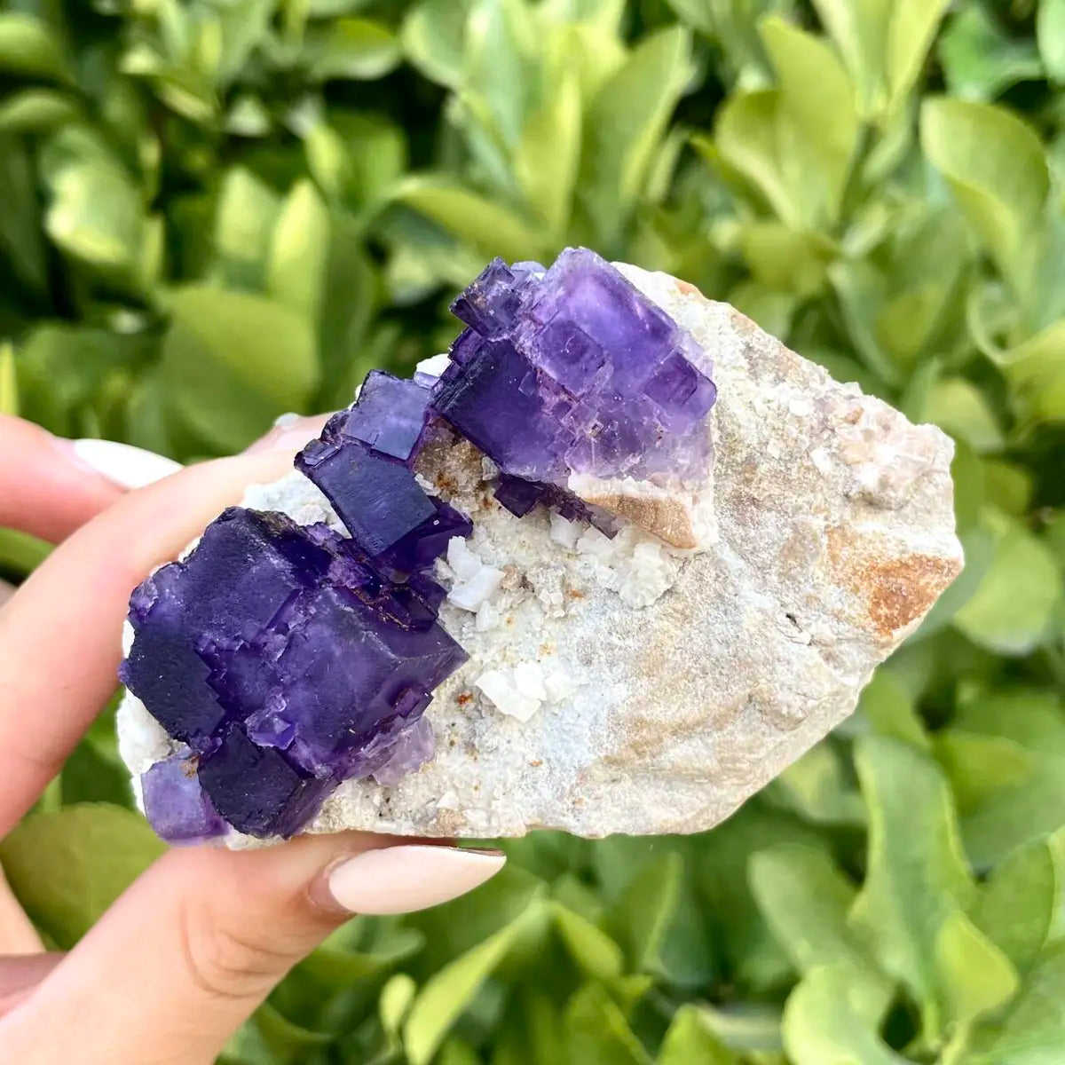 Xinjiang Matrix Fluorite Specimen | Xinjiang, China | 170g | 7*7*3.5 cm | Fluorite on Matrix | Collector Mineral Sample