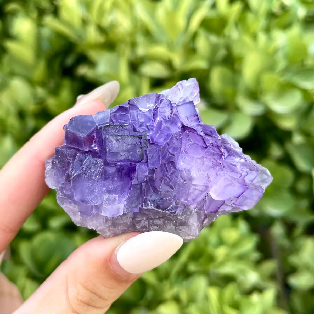 Xinjiang Matrix Fluorite Specimen | Xinjiang, China | 80g | 6*4.5*3.5 cm | Fluorite on Matrix | Collector Mineral Sample