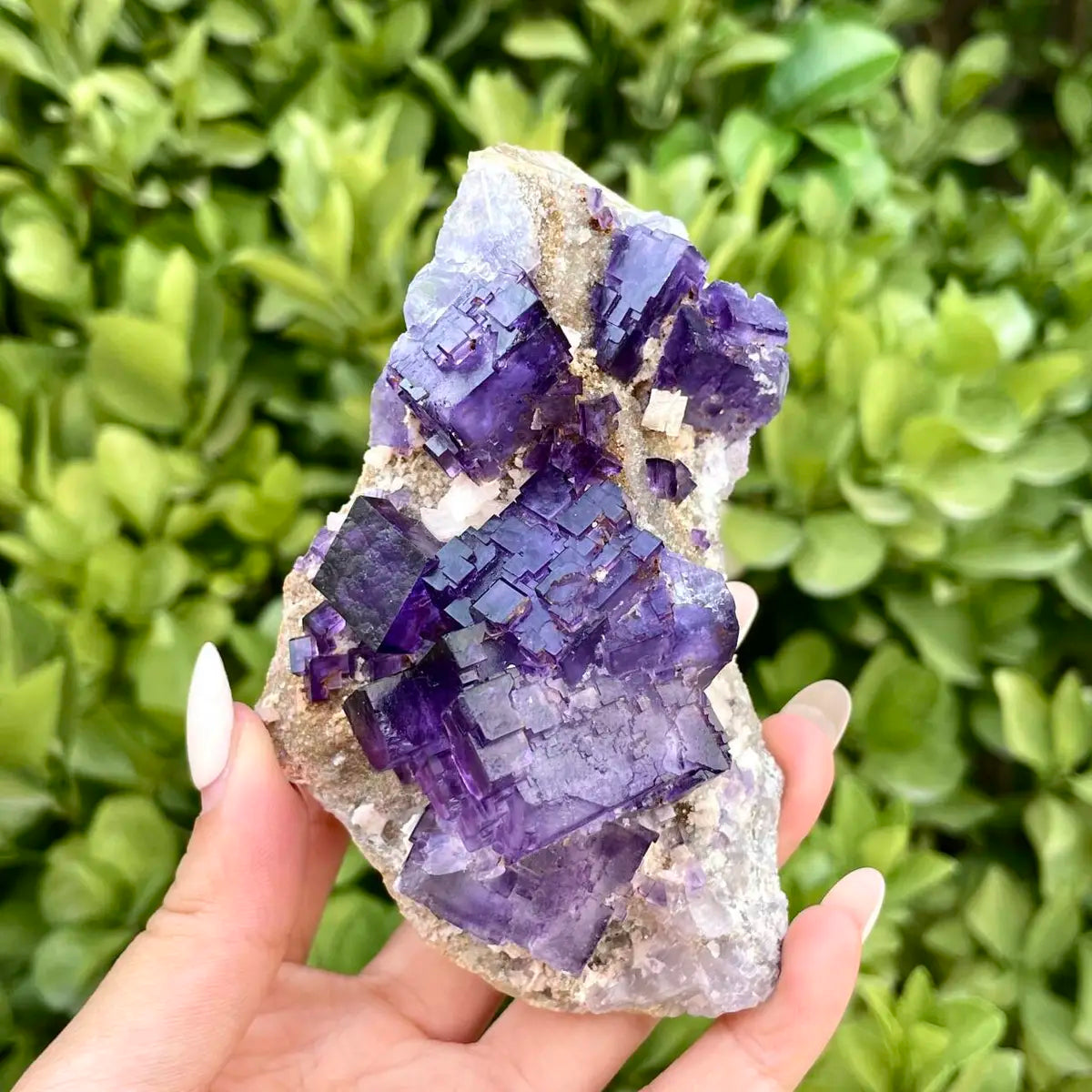 Xinjiang Matrix Fluorite Specimen | Xinjiang, China | 370g | 10*7*9cm | Fluorite on Matrix | Collector Mineral Sample