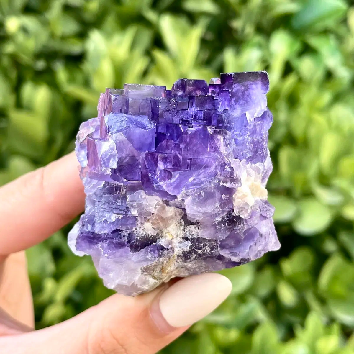 Xinjiang Matrix Fluorite Specimen | Xinjiang, China |130g | 3*5*6 cm | Fluorite on Matrix | Collector Mineral Sample