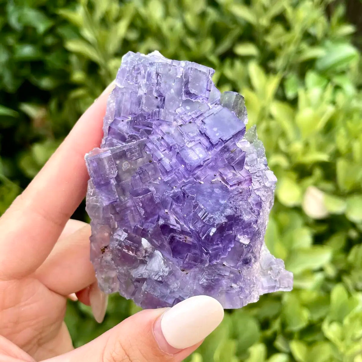 Xinjiang Matrix Fluorite Specimen | Xinjiang, China | 160g | 8.5*6.5*2 cm | Fluorite on Matrix | Collector Mineral Sample