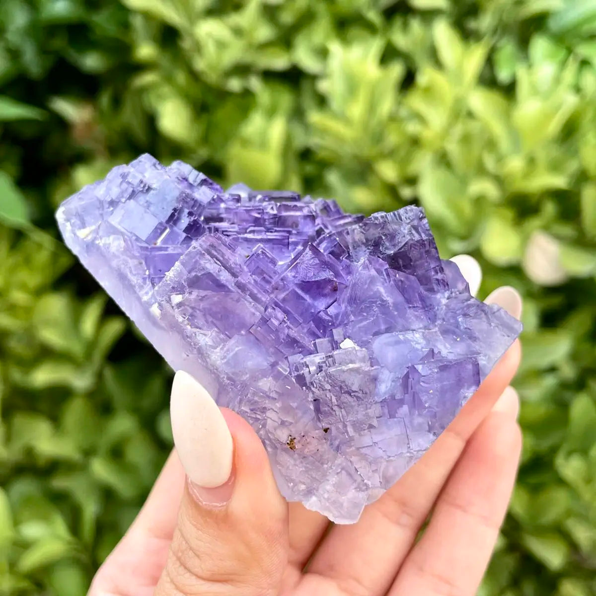 Xinjiang Matrix Fluorite Specimen | Xinjiang, China | 160g | 8.5*6.5*2 cm | Fluorite on Matrix | Collector Mineral Sample