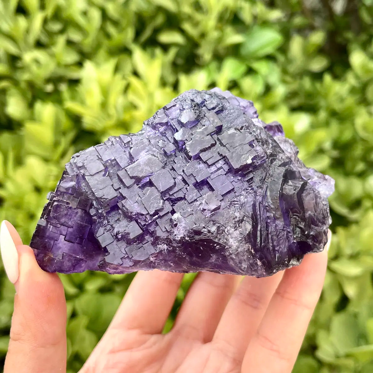 Xinjiang Matrix Fluorite Specimen | Xinjiang, China | 440g | 9.5*7*5 cm | Fluorite on Matrix | Collector Mineral Sample