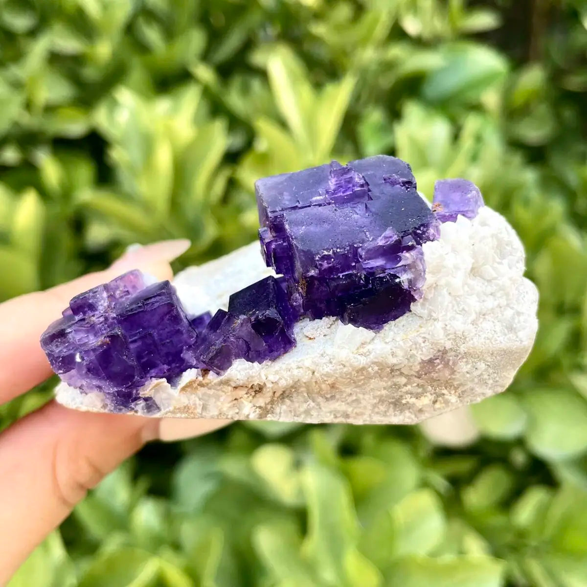 Xinjiang Matrix Fluorite Specimen | Xinjiang, China | 170g | 7*7*3.5 cm | Fluorite on Matrix | Collector Mineral Sample