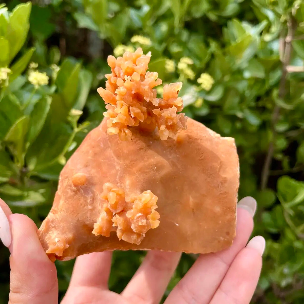 Natural Mimetite Crystal Cluster on Matrix | 210g | 7.5*8*4 cm | Rare Lead Mineral Specimen | Mineral Collection