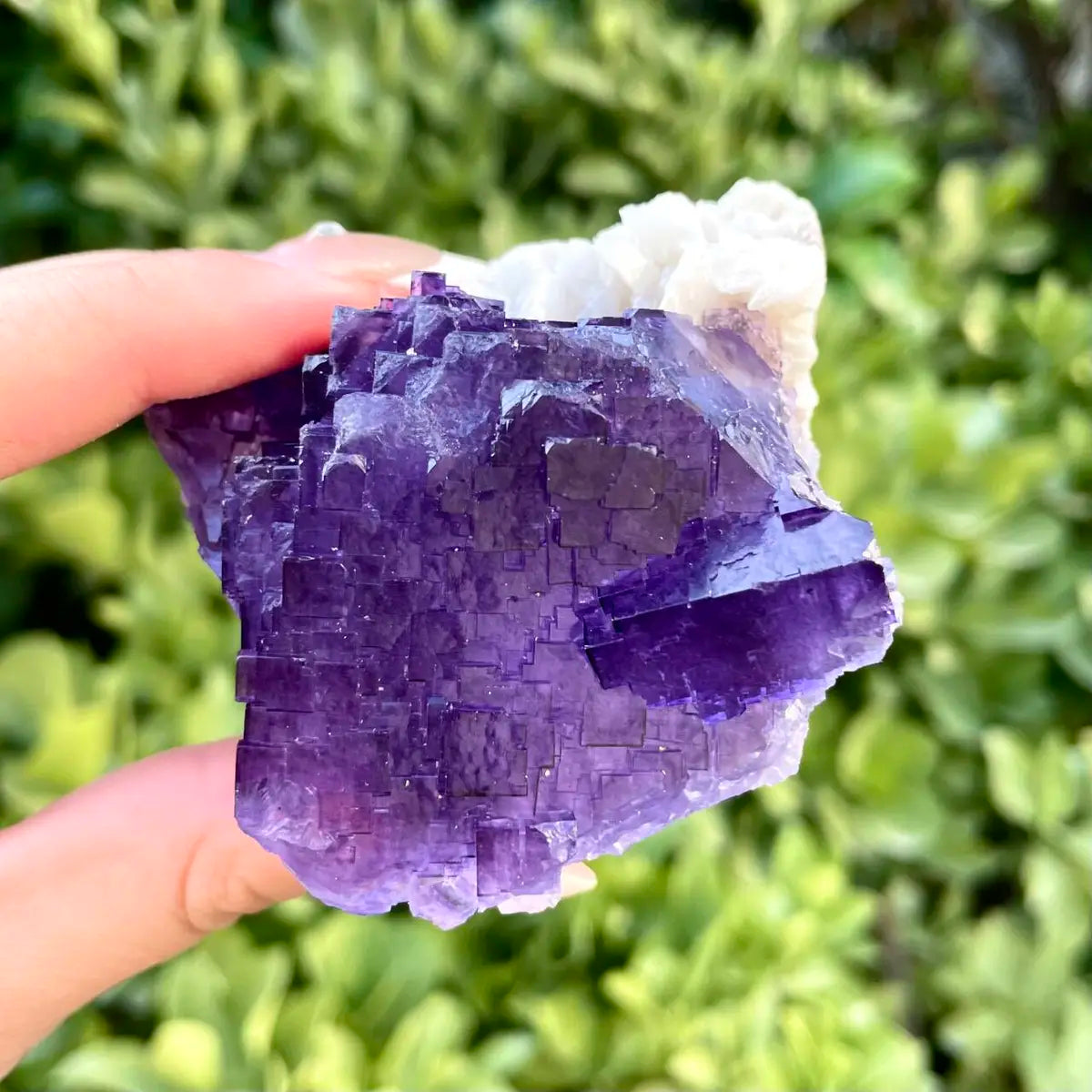 Xinjiang Matrix Fluorite Specimen | Xinjiang, China |200g | 6*5*5 cm | Fluorite on Matrix | Collector Mineral Sample