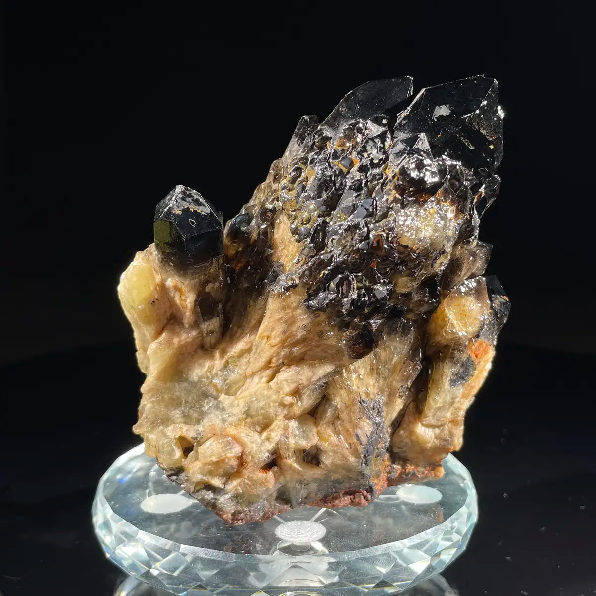Natural Black Quartz Crystal Specimen | 460 g | 9*10*5 cm | Quartz Minerals | Brazil/Madagascar